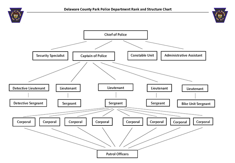 https://www.delcopa.gov/parkpolice/images/OrgChart2.jpg