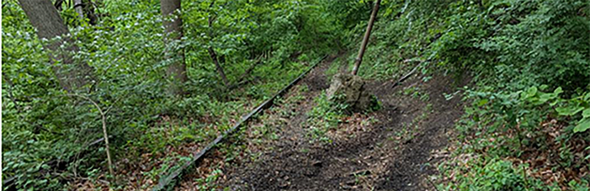 Chester Creek Trail Feasibility Study