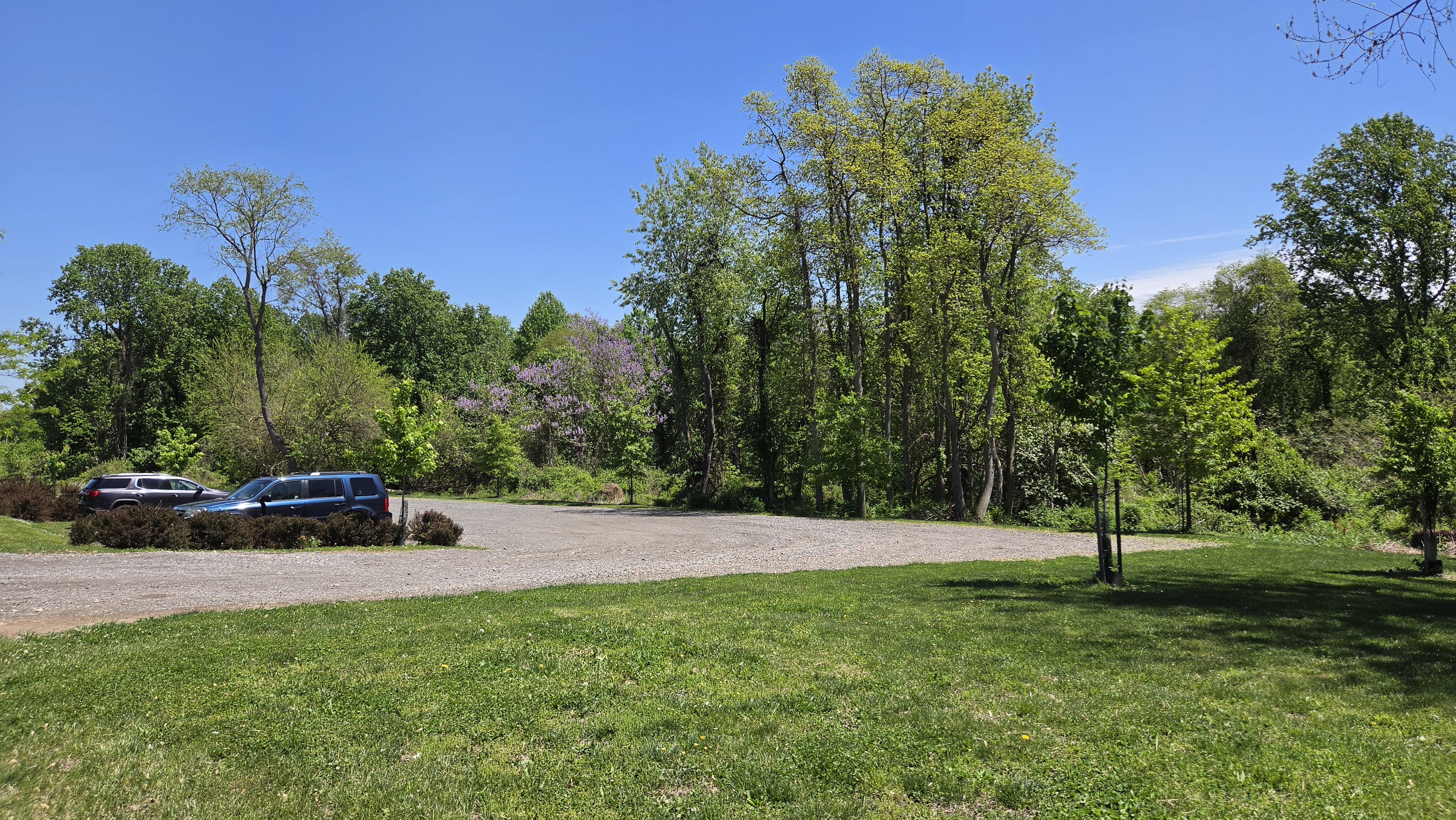 Delco Woods Parking
