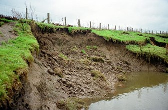 Ditch Pic