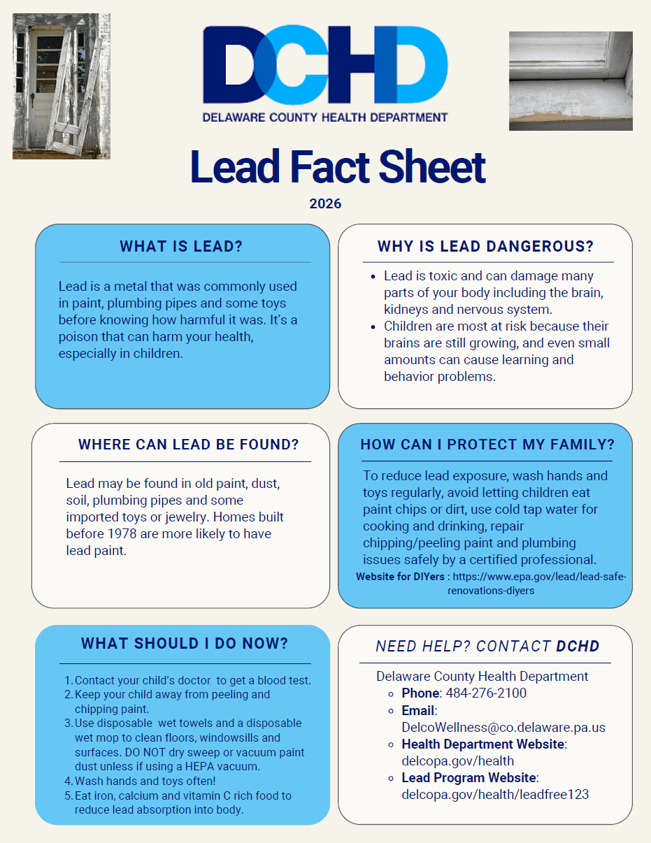 DCHD Lead Factsheet Flyer