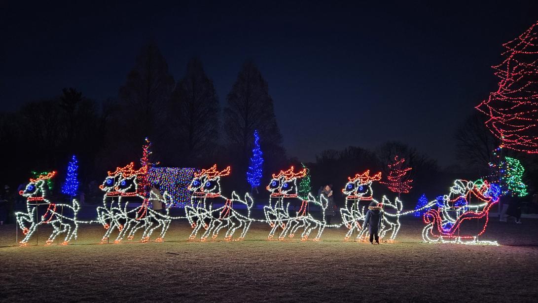 Festival of Lights Santa Display