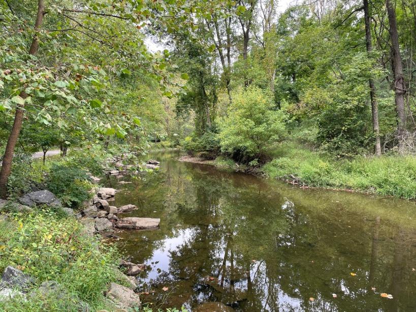 Chester Creek
